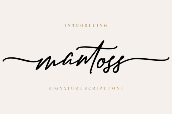 Elevate Your Brand with Mantoss Script Font