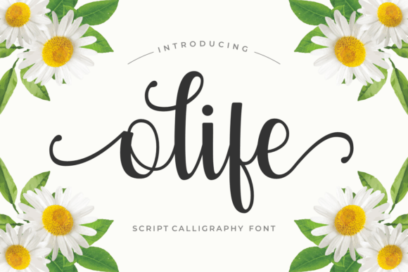 Olife Script Font for Elegant Handmade Products