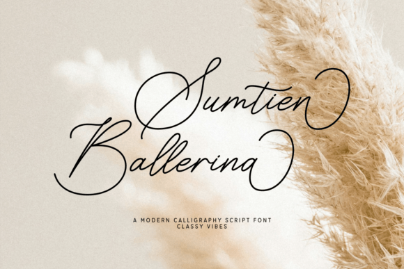Sumtien Ballerina: The Perfect Script Font for Handmade Brands
