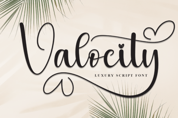 Valocity: The Perfect Script Font for Handmade Brands